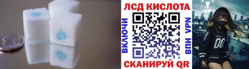 KRAKEN tor  Жердевка  Лсд 25 экстази ecstasy 
